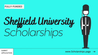 Sheffield University Scholarships Acceptance Rate of Sheffield University