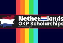 Netherlands Orange Knowledge Program (OKP) Scholarships 2024 for International Students