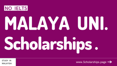 University of Malaya Scholarships Without IELTS