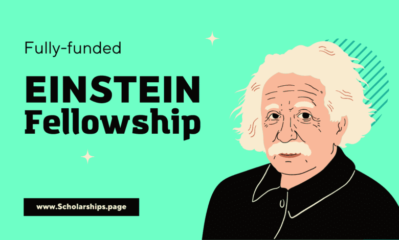 Einstein Fellowships 2024 for Overseas Students