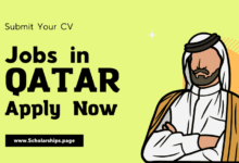 Jobs in Qatar With Qualifications and Average Salaries 2023