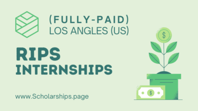 (RIPS) Research in Industrial Projects Internships 2023 in Los Angles (LA)