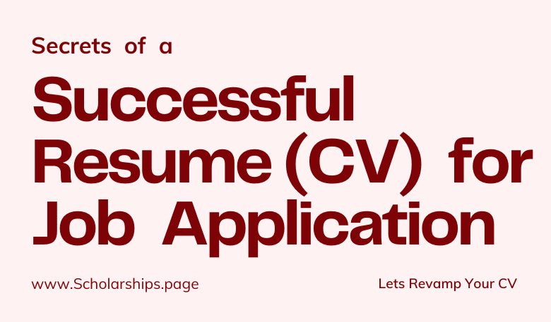 Breathe New Life In Your Resume & Avoid Rejection by Revamping it