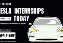Tesla Summer Internships 2023 Are Looking for New Recruits